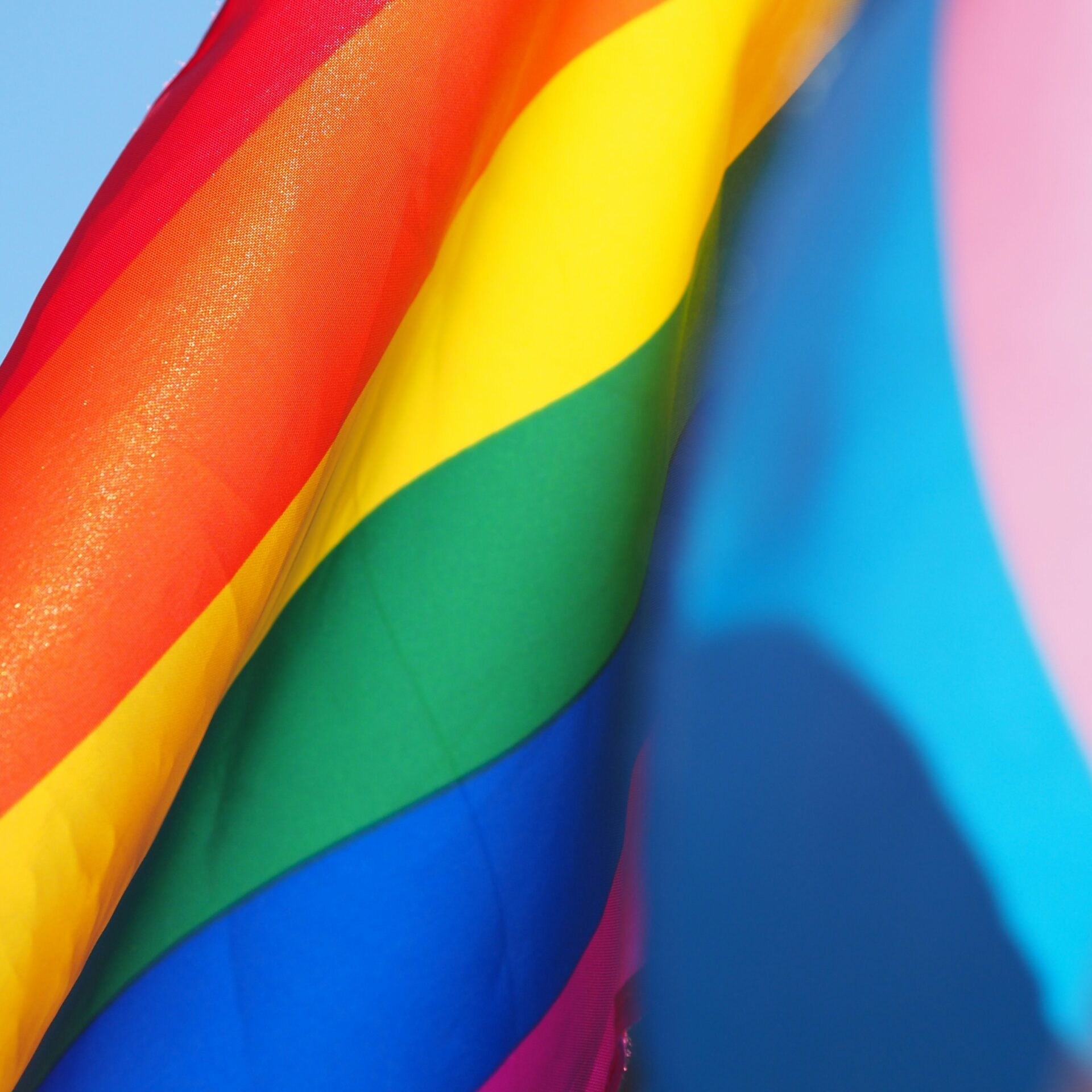 Närbild på två flaggor: en regnbågsfärgad Pride-flagga med röda, orange, gula, gröna, blå och violetta ränder och en pastellblå, rosa och vit transgender Pride-flagga, som båda vajar mot en klar himmel.